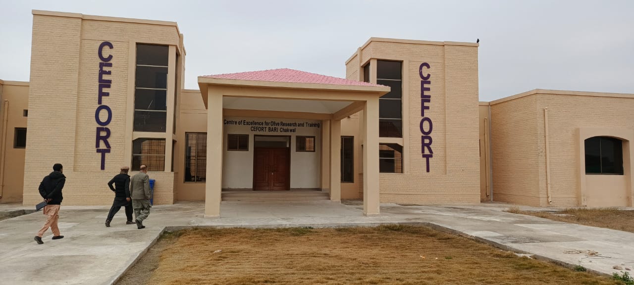 Modification and Renovation Work for CEFORT BARI Chakwal